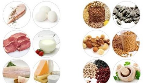 Alimenti ricchi di proteine ​​animali e vegetali per la potenza maschile